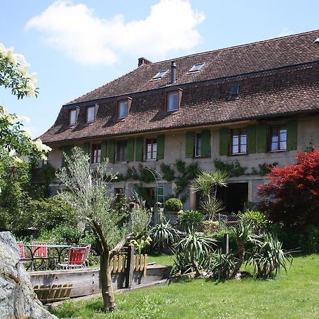 Villa Ofenhaus à Morat Extérieur photo