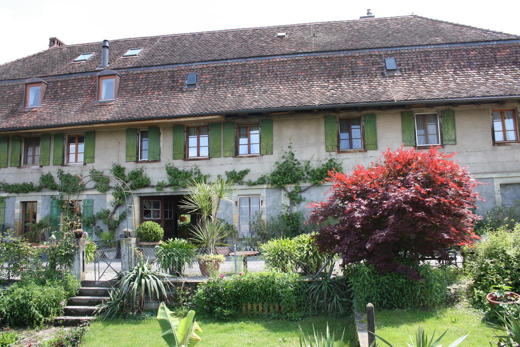 Villa Ofenhaus à Morat Chambre photo