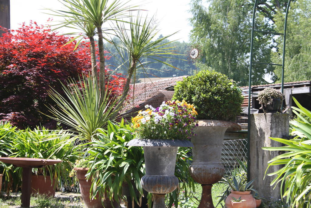 Villa Ofenhaus à Morat Chambre photo