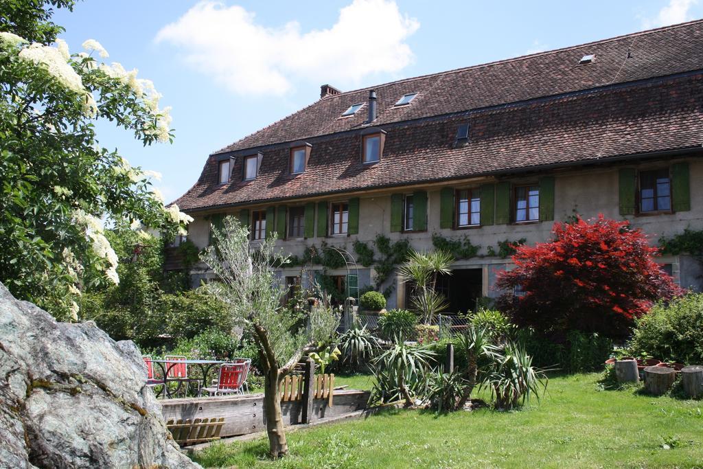 Villa Ofenhaus à Morat Extérieur photo